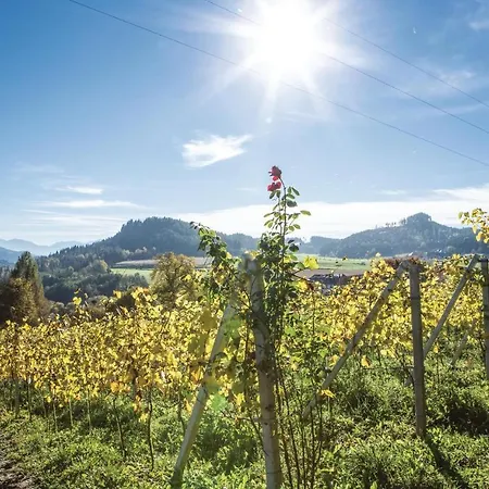 Two-bedroom Holiday In St. Georgen Am Langsee Vakantiehuis *
