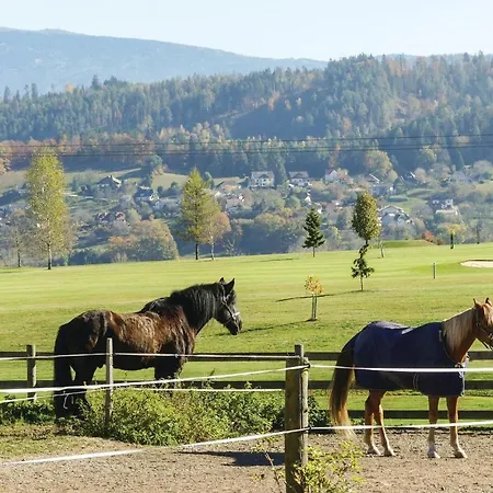 Vakantiehuis Two-bedroom Holiday In St. Georgen Am Langsee *